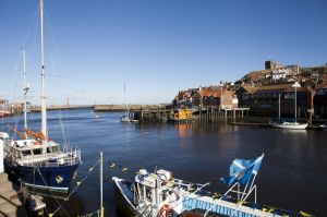 goth whitby 119.jpg